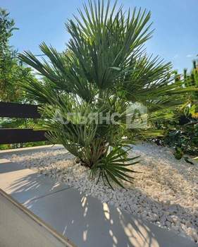 Дом 280м², 2-этажный, участок 8 сот.  