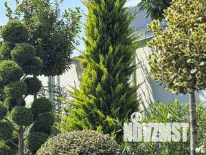 Дом 240м², 3-этажный, участок 4 сот.  