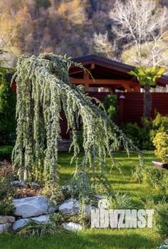 Дом 250м², 2-этажный, участок 6 сот.  