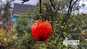 Дом 96м², 3-этажный, участок 6 сот.  