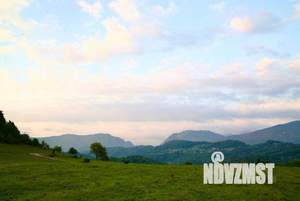 Дом 49м², 1-этажный, участок 50 сот.  