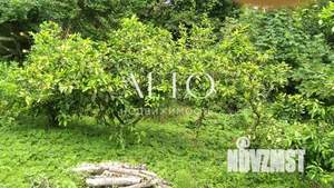 Дом 50м², 1-этажный, участок 9 сот.  