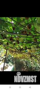 Дом 100м², 2-этажный, участок 8 сот.  