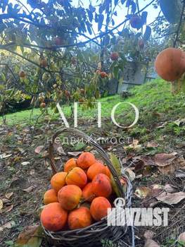 Дом 50м&sup2;, 1-этажный, участок 9 сот.  