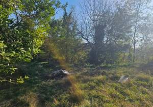 Дом 85м², 1-этажный, участок 4 сот.  