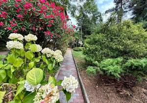 Дом 300м², 4-этажный, участок 12 сот.  