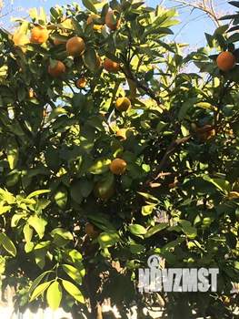 Дом 190м², 3-этажный, участок 6 сот.  