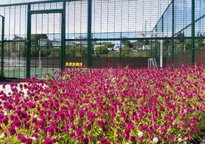 Дом 88м², 3-этажный, участок 1 сот.  