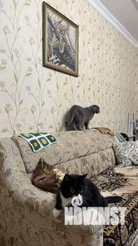 Дом 247м², 3-этажный, участок 6 сот.  