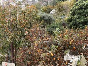 Дом 247м², 2-этажный, участок 4 сот.  