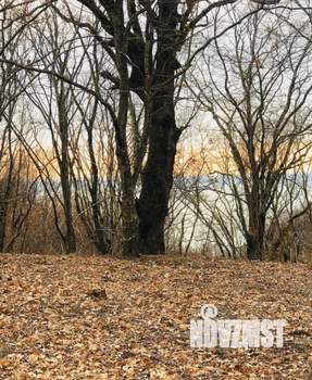 Дом 260м², 2-этажный, участок 11 сот.  