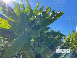 Дом 96м&sup2;, 3-этажный, участок 6 сот.  