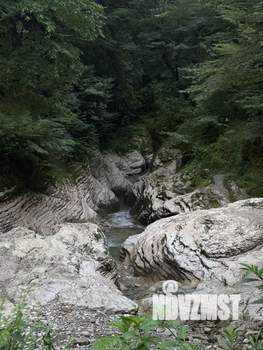 Дом 45м², 1-этажный, участок 2 сот.  