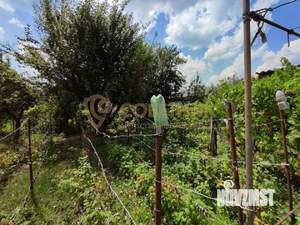 Дом 25м², 1-этажный, участок 6 сот.  