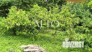 Дом 50м&sup2;, 1-этажный, участок 9 сот.  