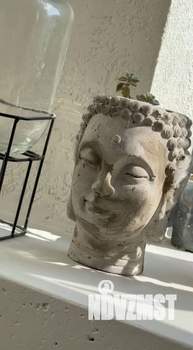 Коттедж 116м², 2-этажный, участок 3 сот.  