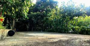 Дом 55м², 2-этажный, участок 7 сот.  