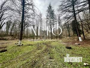 Дом 50м², 1-этажный, участок 10 сот.  