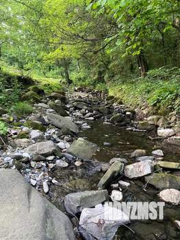 Дом 40м², 1-этажный, участок 17 сот.  