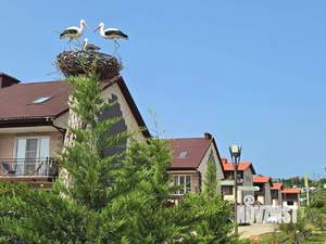 Таунхаус 88м², 3-этажный, участок 0 сот.  