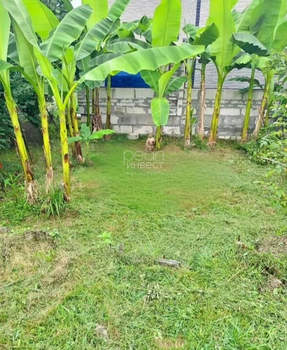 Дом 70м², 2-этажный, участок 5 сот.  