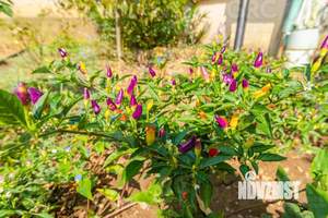 Дом 231м², 2-этажный, участок 12 сот.  