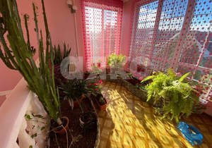 Дом 247м&sup2;, 3-этажный, участок 6 сот.  