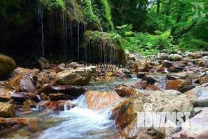 Дом 120м², 2-этажный, участок 5 сот.  