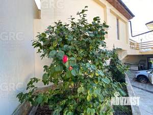 Дом 325м², 3-этажный, участок 7 сот.  