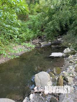 Дом 40м², 1-этажный, участок 17 сот.  