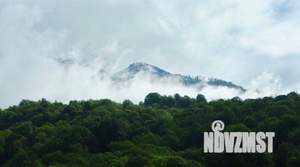 Дом 49м², 1-этажный, участок 50 сот.  