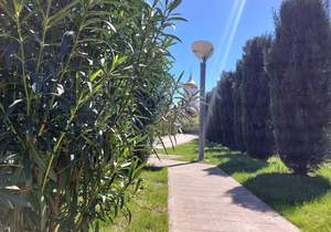 Дом 89м&sup2;, 3-этажный, участок 1 сот.  