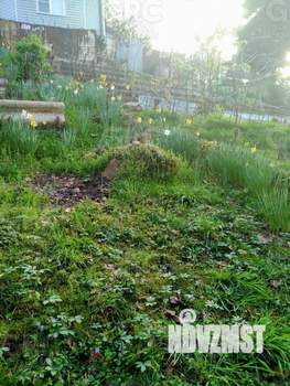 Дом 64м², 2-этажный, участок 4 сот.  