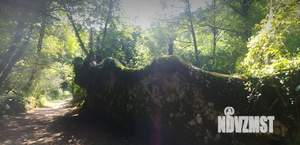 Дом 84м², 1-этажный, участок 5 сот.  