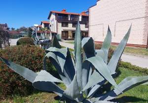 Дом 89м&sup2;, 3-этажный, участок 1 сот.  