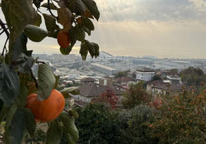 Дом 247м², 2-этажный, участок 4 сот.  