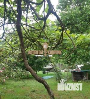 Дом 100м², 1-этажный, участок 14 сот.  