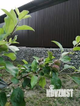 Коттедж 103м², 2-этажный, участок 4 сот.  