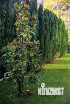 Дом 250м², 2-этажный, участок 6 сот.  