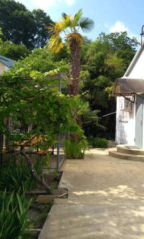 Дом 210м², 2-этажный, участок 11 сот.  