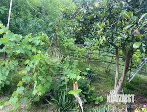 Дом 71м², 2-этажный, участок 7 сот.  