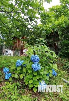 Дом 50м², 1-этажный, участок 23 сот.  