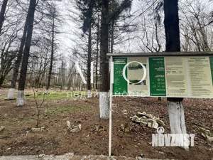 Дом 50м², 1-этажный, участок 10 сот.  