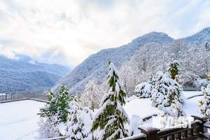 Дом 400м², 3-этажный, участок 15 сот.  