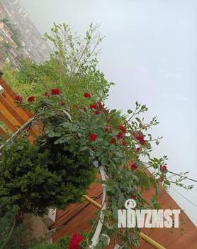 Дом 140м&sup2;, 3-этажный, участок 4 сот.  