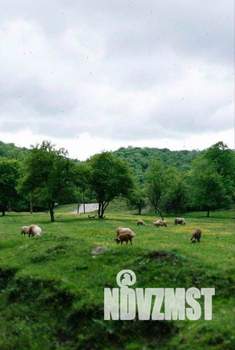 Дом 49м², 1-этажный, участок 50 сот.  