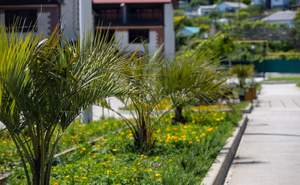 Дом 89м², 3-этажный, участок 0 сот.  