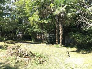 Дом 60м², 2-этажный, участок 6 сот.  