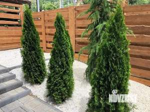 Дом 548м&sup2;, 2-этажный, участок 6 сот.  