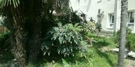 Фото комнаты в аренду (7)